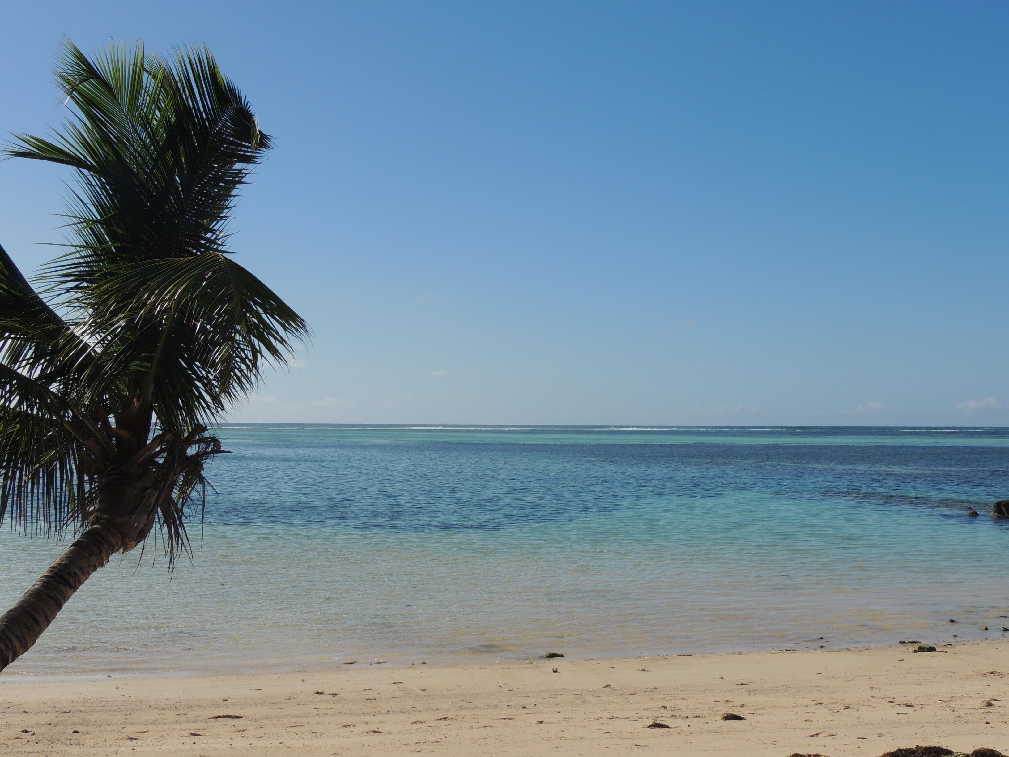 Reef Holiday Apartments Anse aux Pins Esterno foto